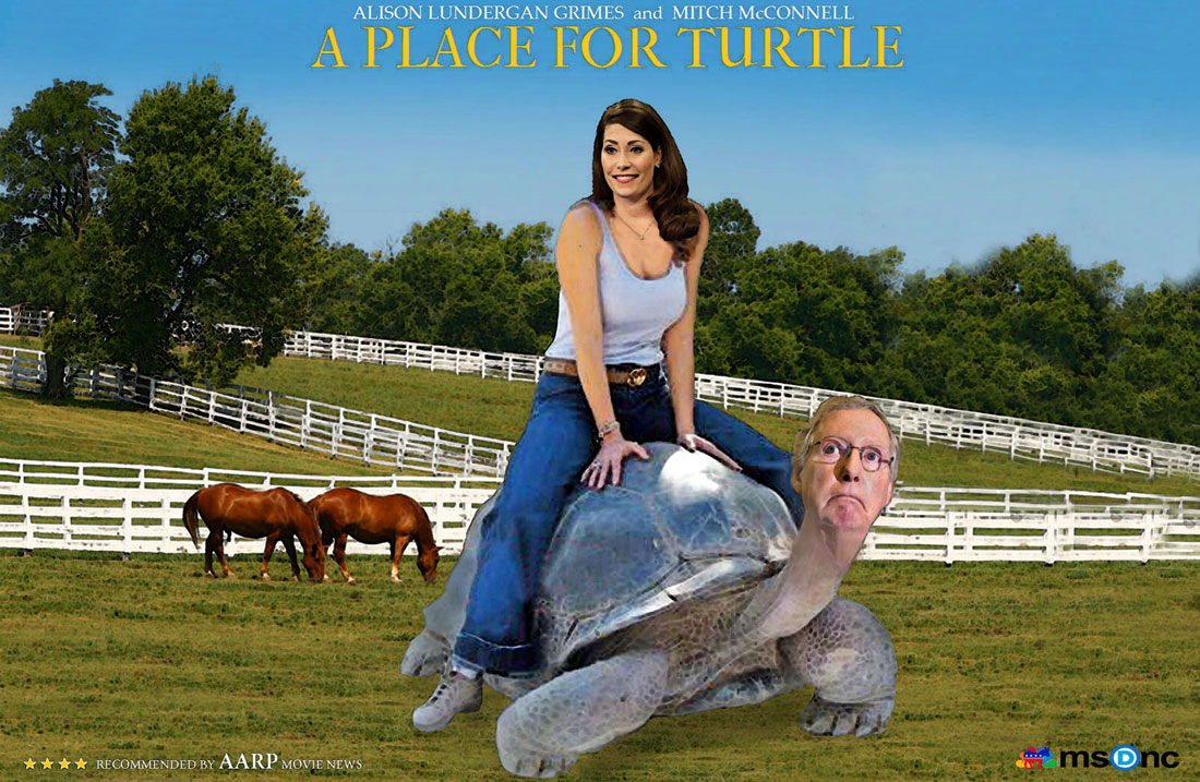 A PLACE FOR TURTLE