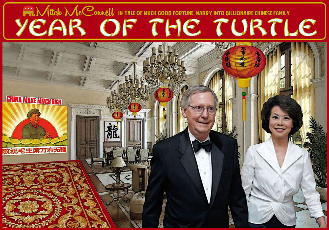 YEAR OF THE TURTLE