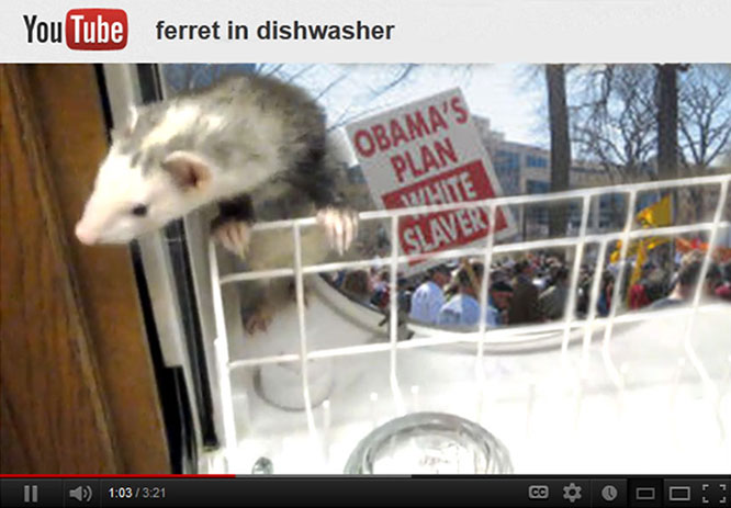 Romney said the Tea Party was like a ferret in the dishwasher.