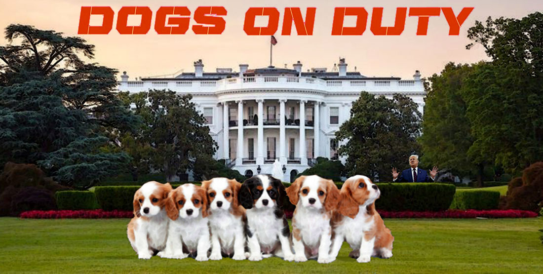 DOGS ON DUTY